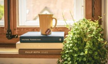 windowsill with a plant and a mug of tea on a stack of books